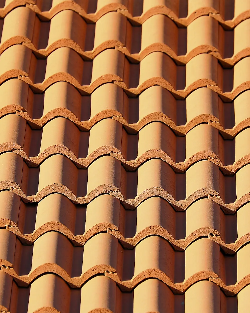Rows of orange clay roof tiles