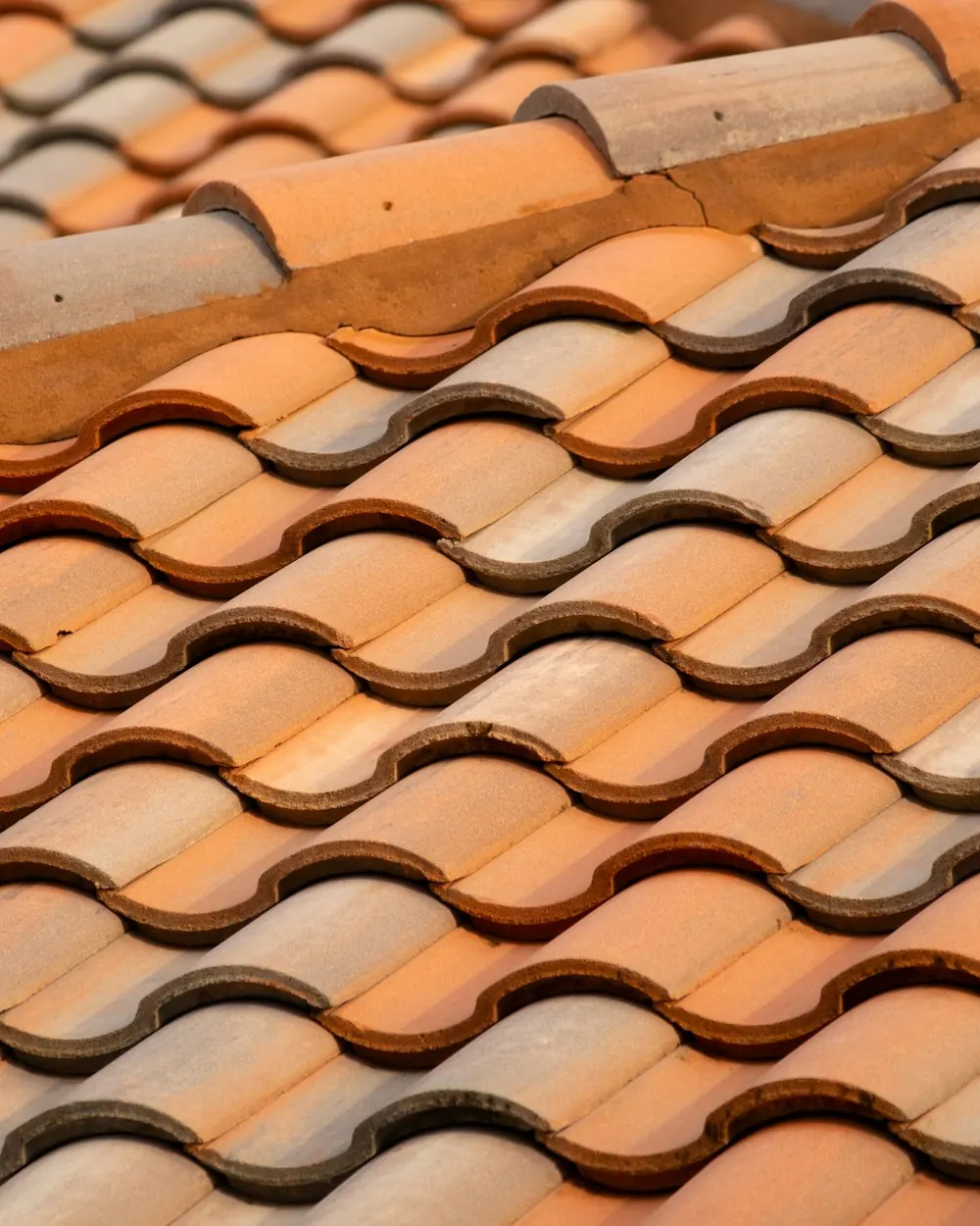 Close-up of a terracotta clay barrel tile roof